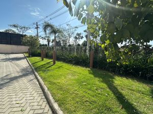 Image 18 - 893550