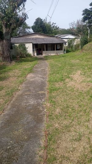 Image 4 - 893580