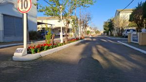 Image 5 - 893581