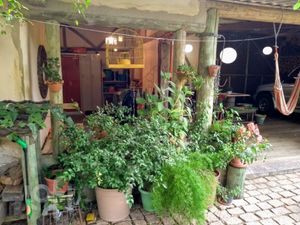 Image 34 - 893655