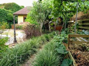 Image 36 - 893655