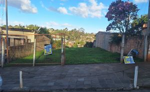 Image 6 - 893797
