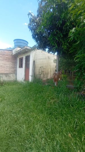Image 19 - 893842