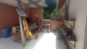 Image 12 - 893842