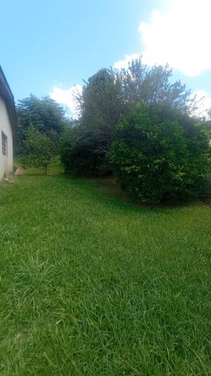 Image 17 - 893842