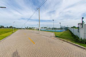 Image 14 - 893844