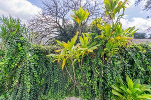 Image 10 - 893853