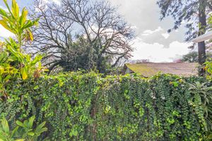 Image 20 - 893853