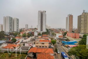 Image 11 - 893863