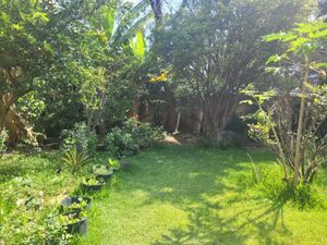 Image 40 - 893879