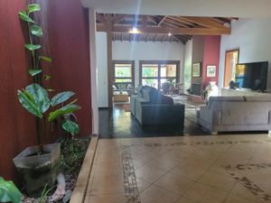 Image 17 - 893879