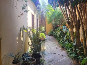 Image 9 - 893879