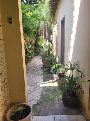 Image 14 - 893879