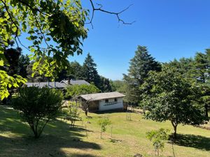 Image 3 - 893881