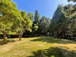 Image 32 - 893881