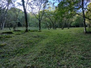 Image 19 - 893881