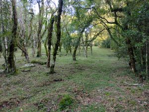 Image 18 - 893881