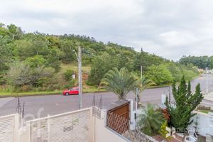 Image 11 - 893882
