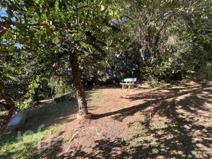 Image 42 - 893897
