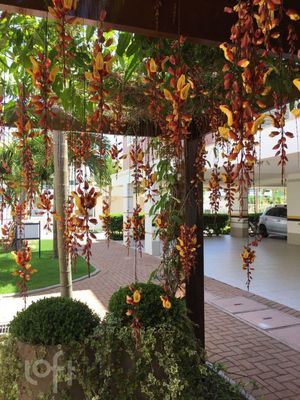 Image 14 - 893914
