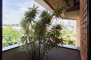 Image 39 - 893975