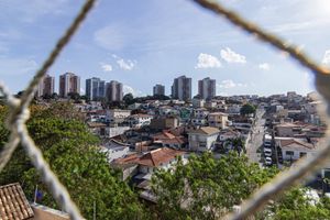 Image 23 - 894155