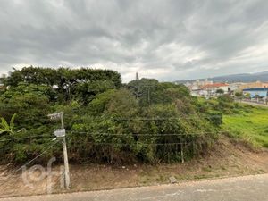 Image 38 - 894164