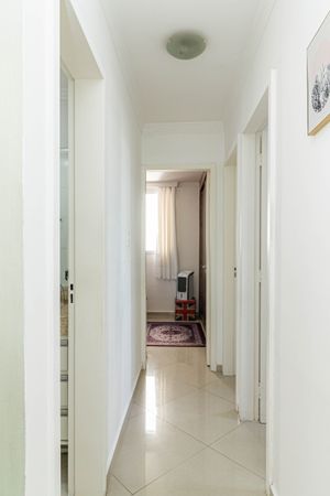 Image 10 - 894199