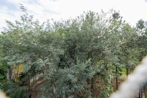 Image 9 - 894436
