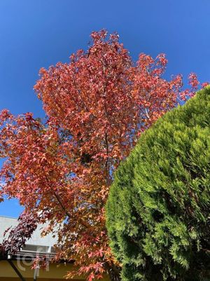 Image 19 - 894471