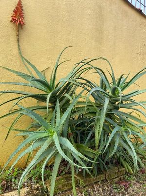 Image 12 - 894471