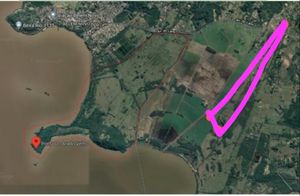 Image 4 - 894569