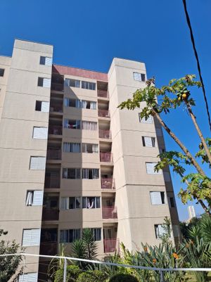Image 9 - 894666