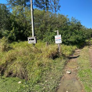 Image 4 - 894675