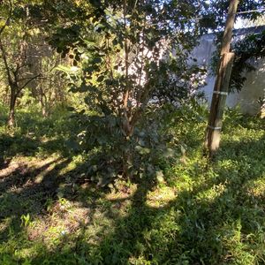 Image 2 - 894675