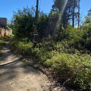 Image 3 - 894675