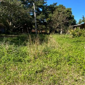 Image 1 - 894675