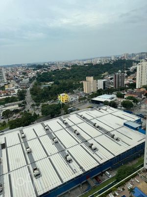 Image 14 - 894686