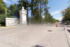 Image 17 - 894768