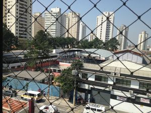 Image 8 - 894779