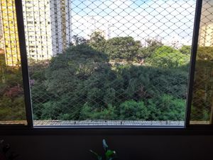 Image 2 - 894790