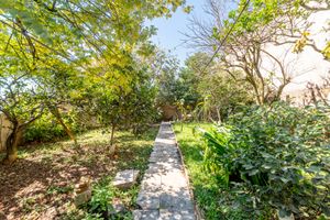 Image 33 - 894825
