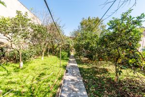 Image 34 - 894825