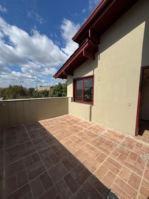 Image 20 - 894825