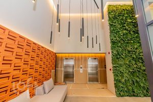 Image 32 - 894827