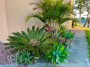 Image 18 - 894896