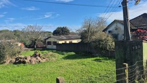 Image 4 - 894964