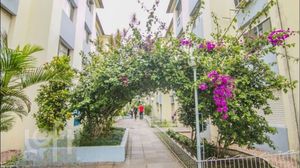 Image 39 - 894997