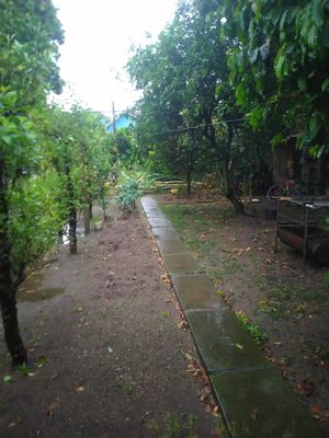 Image 4 - 895002