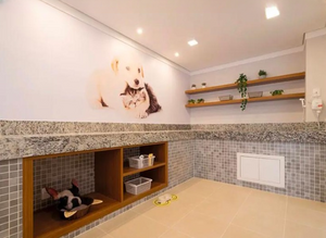 Image 19 - 895087